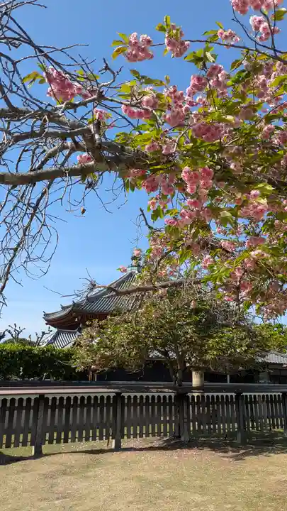 興福寺(奈良県)