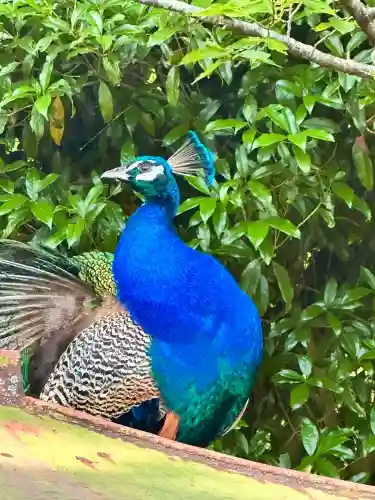 楽法寺（雨引観音）(茨城県)