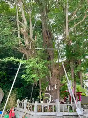 海南神社(神奈川県)