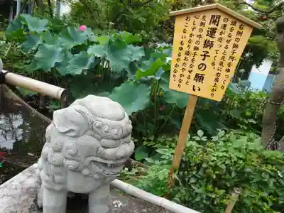 祥泉院の狛犬