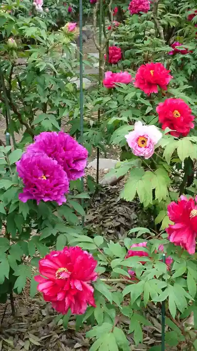 総持寺(滋賀県)