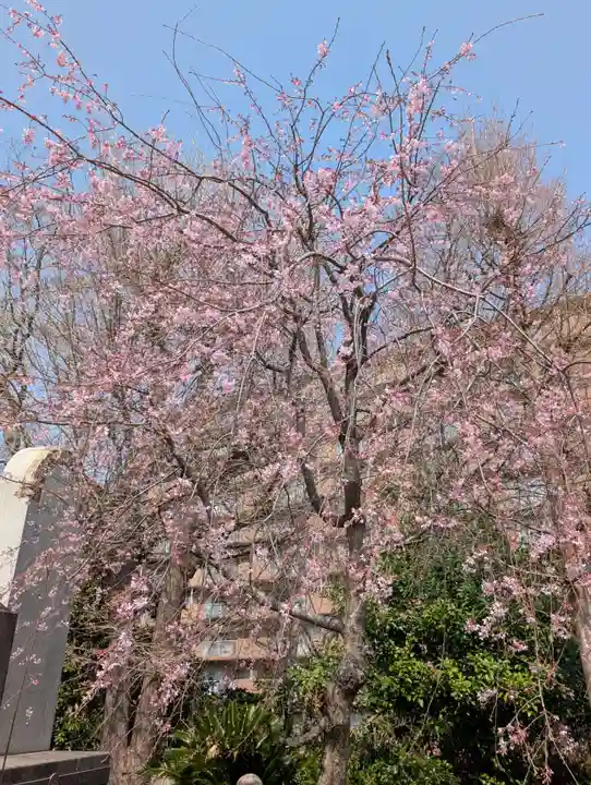 天徳寺(神奈川県)