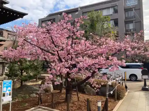 桜神宮(東京都)
