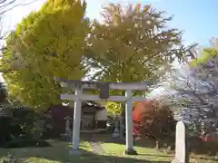 江波神社(埼玉県)