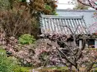 雲龍院(京都府)