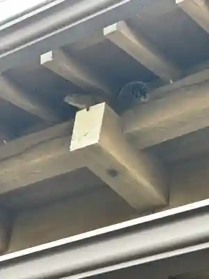 江島神社(神奈川県)