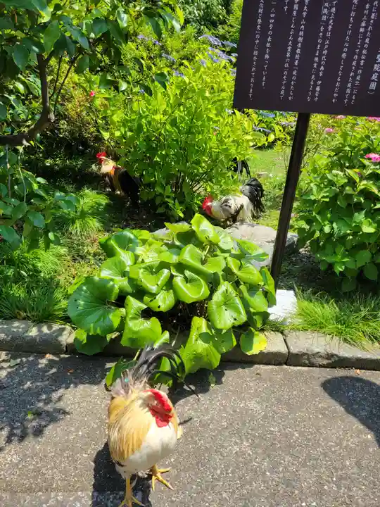 観音寺(京都府)