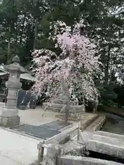 乃木神社(栃木県)