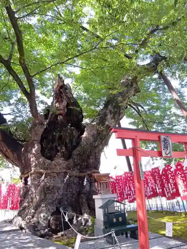 秩父今宮神社(埼玉県)