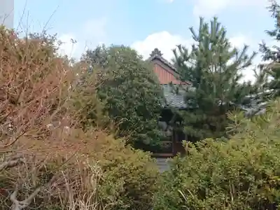 妙雲寺(三重県)