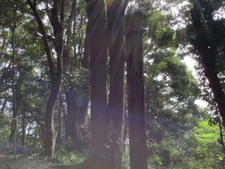 伊射波神社の自然