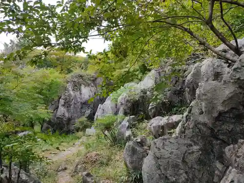 金生山 明星輪寺の自然