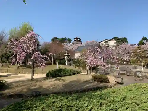 丸岡城八幡神社(福井県)