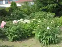 舒林寺(群馬県)