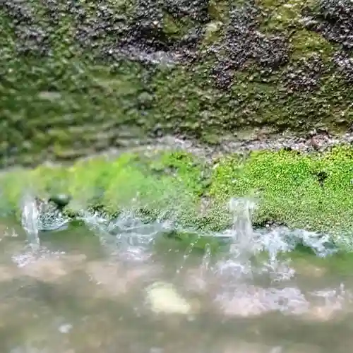 阿邪訶根神社の自然