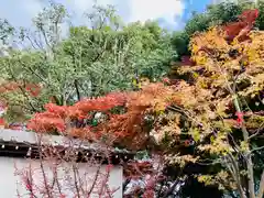 塩竈神社の建物その他