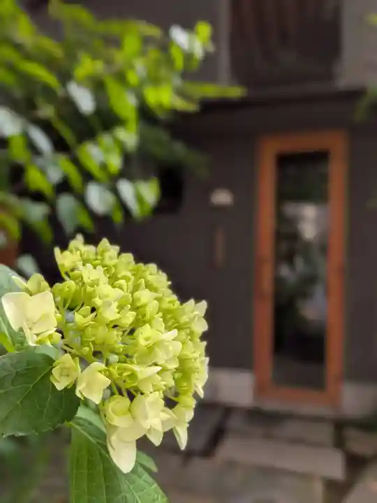 五十稲荷神社(栄寿稲荷神社)(東京都)