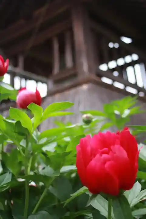 石光寺(奈良県)