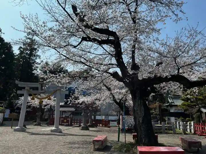 世良田東照宮の{uncategorized: "未分類", other: "その他", undefined: "問題あり", building: "その他建物", grave: "お墓", sacred_gate: "鳥居", guardian: "狛犬", statue: "像", buddha: "仏像", history: "歴史", nature: "自然", garden: "庭園", animal: "動物", pagoda: "塔", temizu: "手水舎", mountain_gate: "山門・神門", sanctuary: "本殿・本堂", subordinate: "末社・摂社", art: "芸術", scenery: "景色", jizo: "地蔵", ema: "絵馬", goshuin: "御朱印", omikuji: "おみくじ", items: "授与品その他", amulet: "お守り", goshuincho: "御朱印帳", eats: "食事", festival: "お祭り", votive_dance: "神楽", shichigosan: "七五三参", wedding: "結婚式", experience: "体験その他", initially: "初詣", around: "周辺", anti_infection: "感染症対策"}