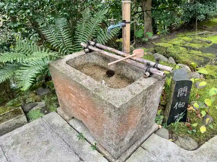 杉本寺(神奈川県)