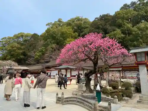 太宰府天満宮の建物その他