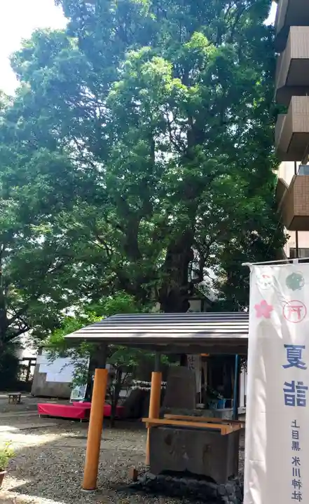 上目黒氷川神社(東京都)