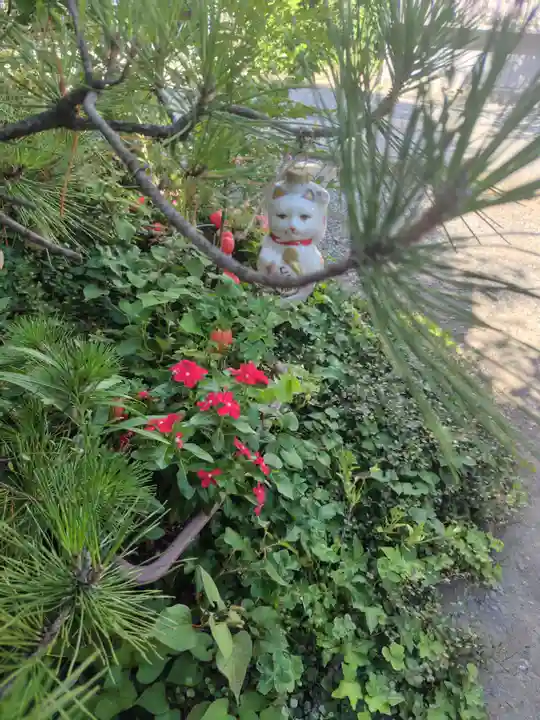 今戸神社(東京都)