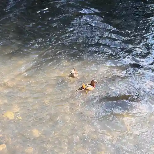水天宮(北海道)