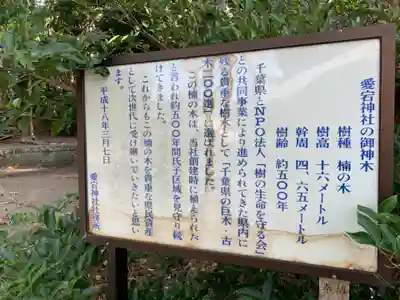 愛宕神社のその他建物