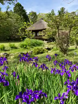 春日大社のその他建物