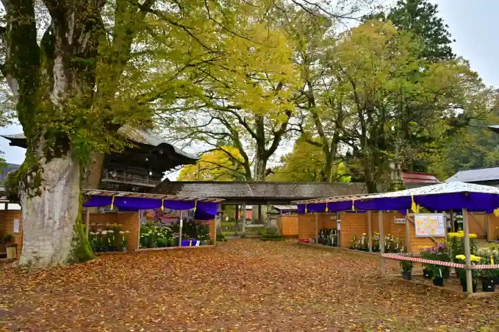 普光寺(新潟県)