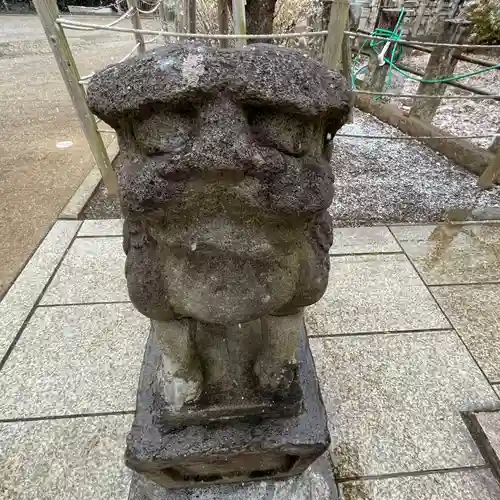 鳩森八幡神社の狛犬