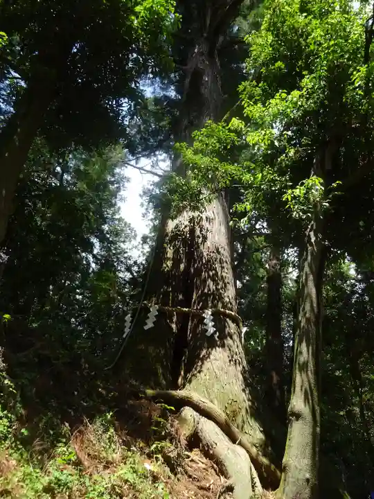 塩船観音寺(東京都)