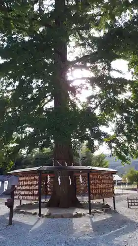 秋保神社の自然