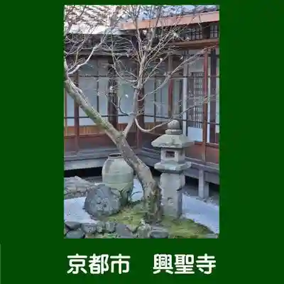 興聖寺(京都府)