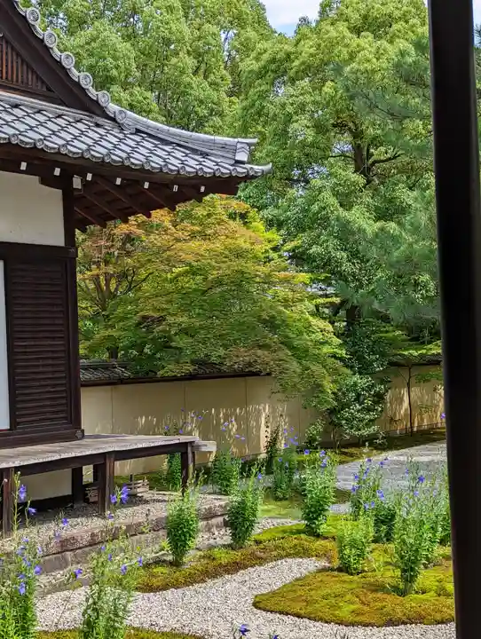 廬山寺(廬山天台講寺)(京都府)