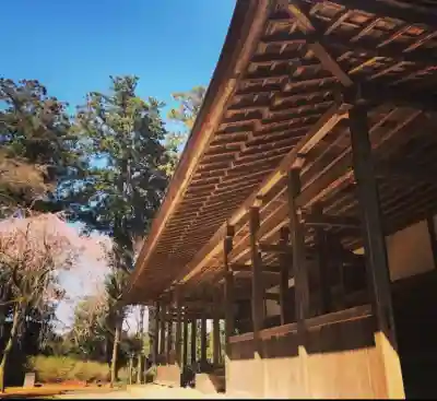 飯高寺(千葉県)