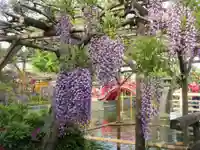 亀戸天神社の庭園