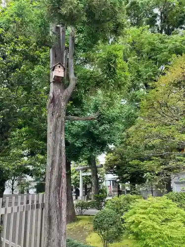 池袋氷川神社(東京都)