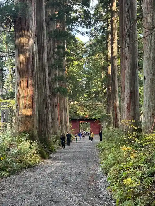 戸隠神社九頭龍社(長野県)