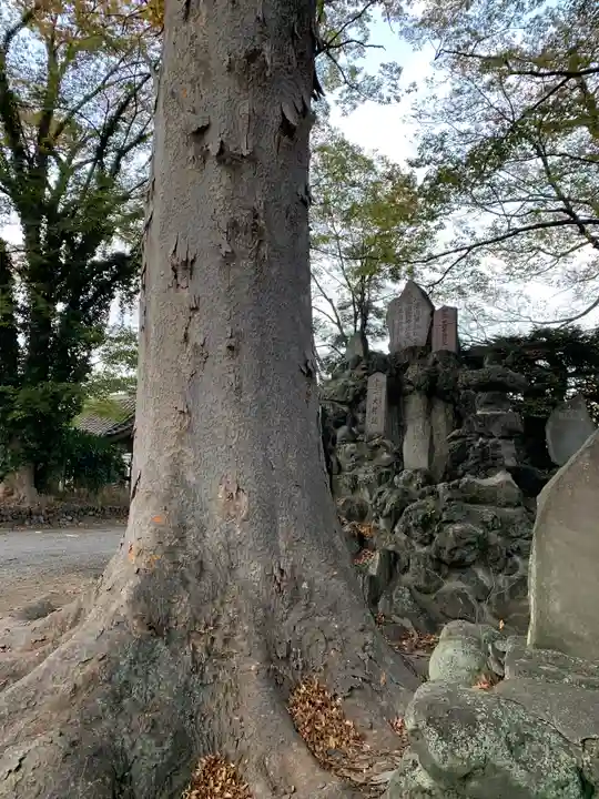 東石清水八幡神社(埼玉県)