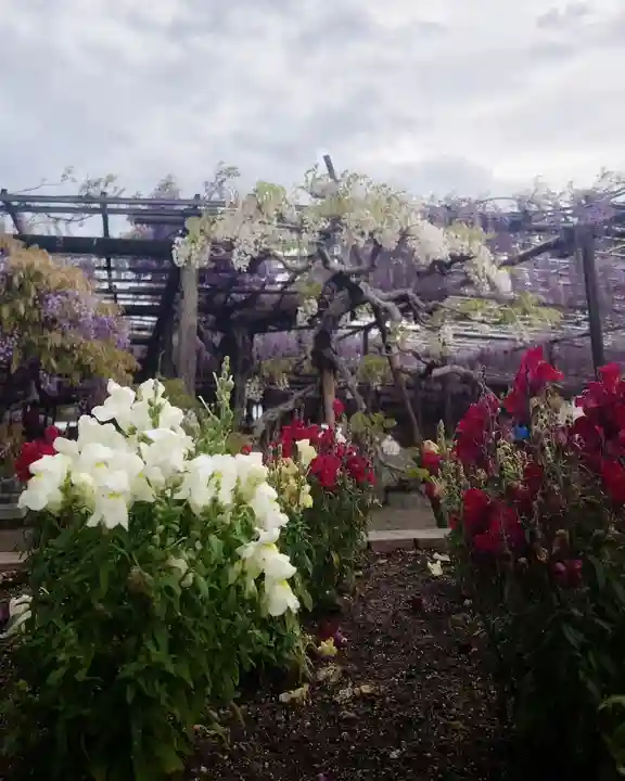 秋葉神社の自然