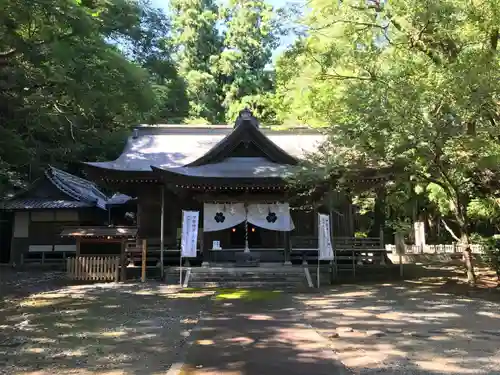 秦神社の本殿