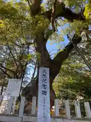 大分八幡宮の自然