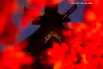 大山阿夫利神社(神奈川県)