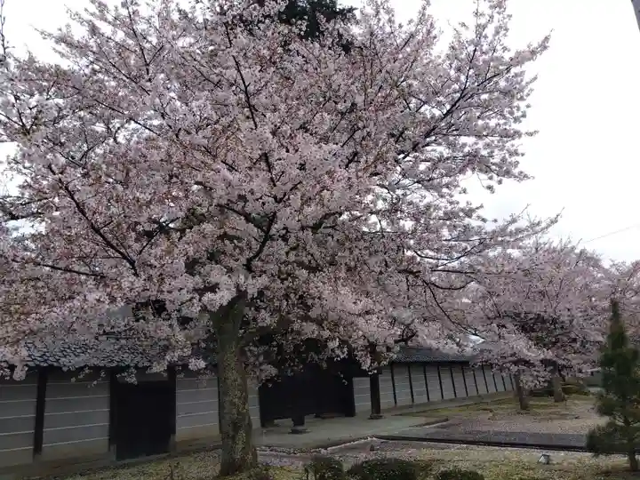 毫攝寺(福井県)