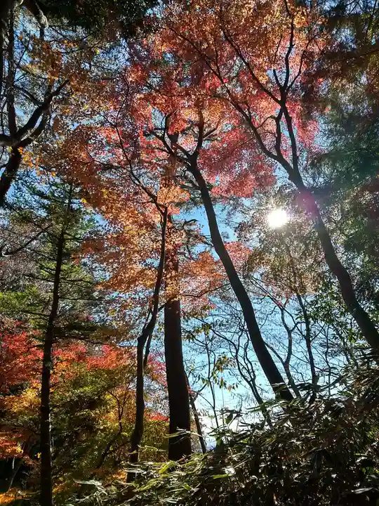 高尾山薬王院の自然