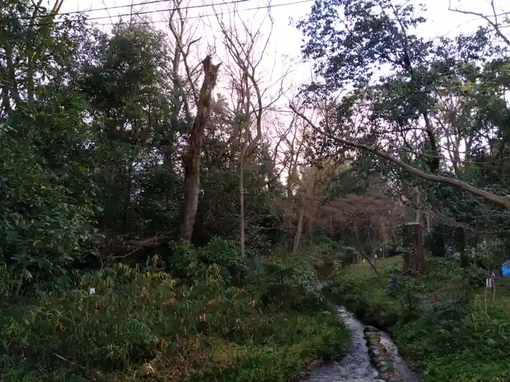 賀茂御祖神社(下鴨神社)の自然