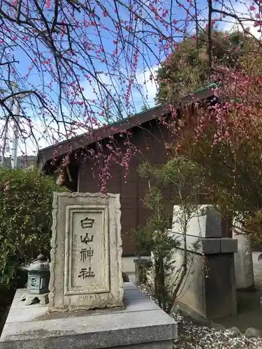 藤ノ木白山神社の建物その他