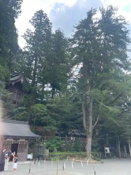 天河大辨財天社(奈良県)